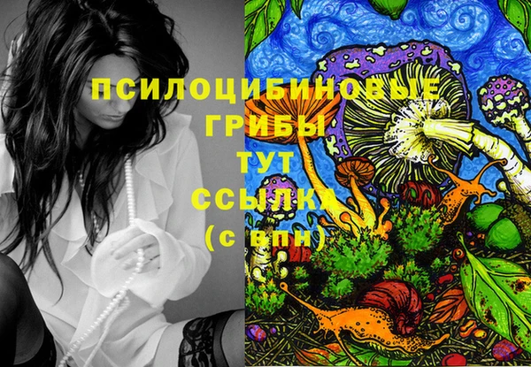 амф Пенза
