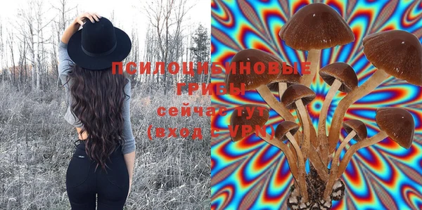 амф Пенза