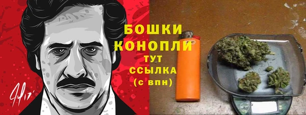 амф Пенза