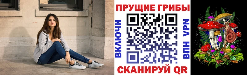 Псилоцибиновые грибы GOLDEN TEACHER Артёмовск